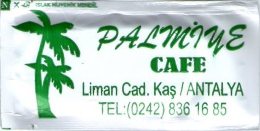 0298 Palmiye - Kaş
